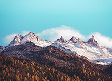 betvictor伟德官方网站：开启全球博彩新体验